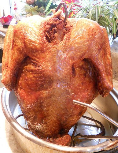 Don’t Let Your Thanksgiving Go Up in Flames: How Not to Deep Fry a Turkey